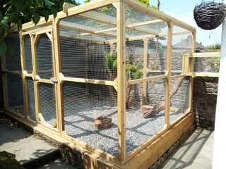 Cat Runs and Cat Pens for Outdoors