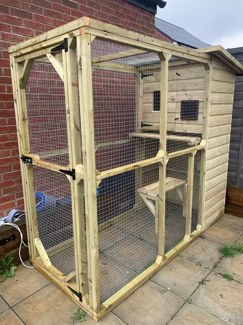 The Amy Outdoor Cat House and Cat Run